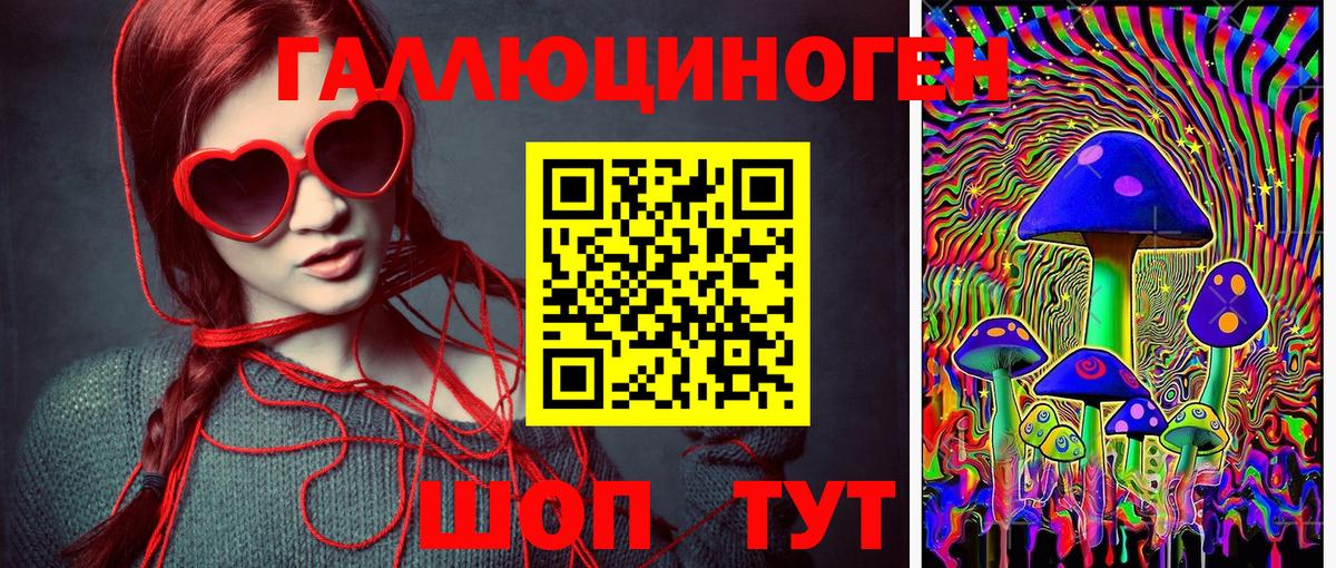 дарнет шоп  Псилоцибиновые грибы мухоморы  Вход с VPN  Белгород 