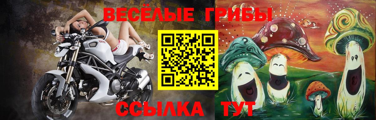 Псилоцибиновые грибы прущие грибы Белгород